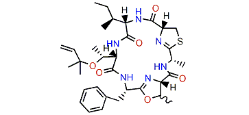 Comoramide A